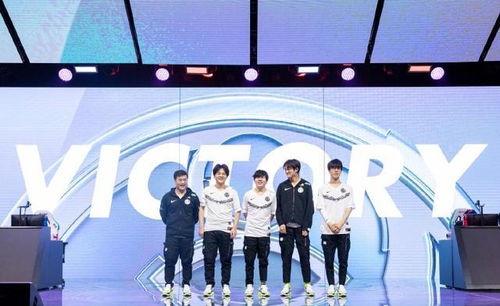 xyg唐泽龙最新爆料,xyg最新动态揭秘